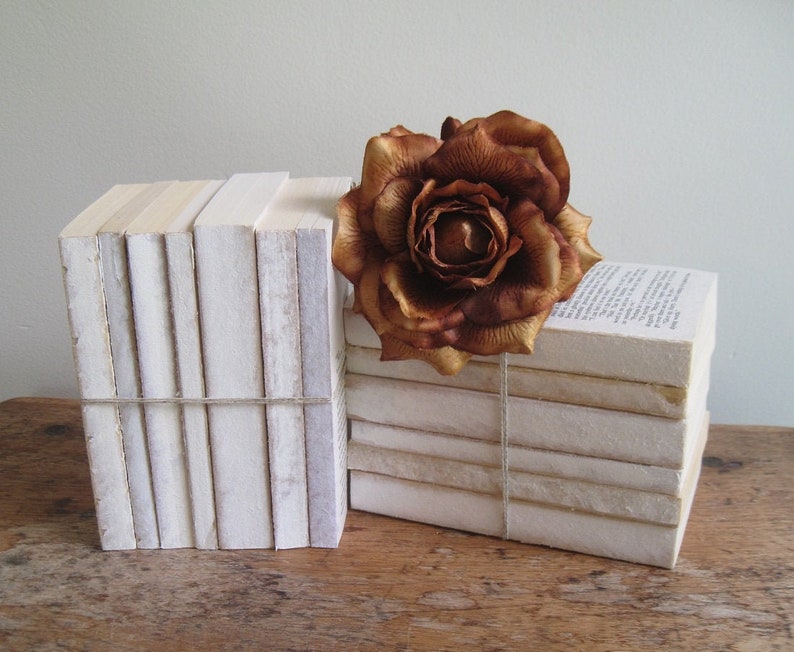 Farmhouse Books Rustic Paperback Decorative Book Set Shabby