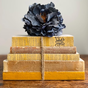 May include: A stack of vintage books with yellowed pages and brown covers are tied together with twine. A large, dark blue flower sits on top of the books.
