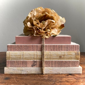 Rustic Decorative Book Set In Dusty Rose And Beige