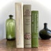 see more listings in the Rustic & Tattered Books section
