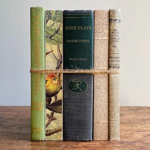 May include: A stack of five vintage books bound together with twine. The collection includes a green Zane Grey book, a botanical print spine, a dark green Nine Plays by Eugene O'Neill, a text-heavy volume, and a beige Mrs. Wiggs of the Cabbage Patch.