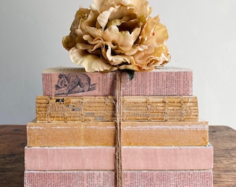 Rustic Decorative Book Set In Dusty Rose And Beige