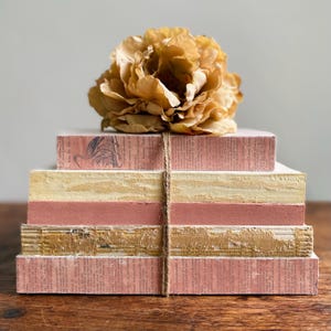 Rustic Decorative Book Set In Dusty Rose And Beige