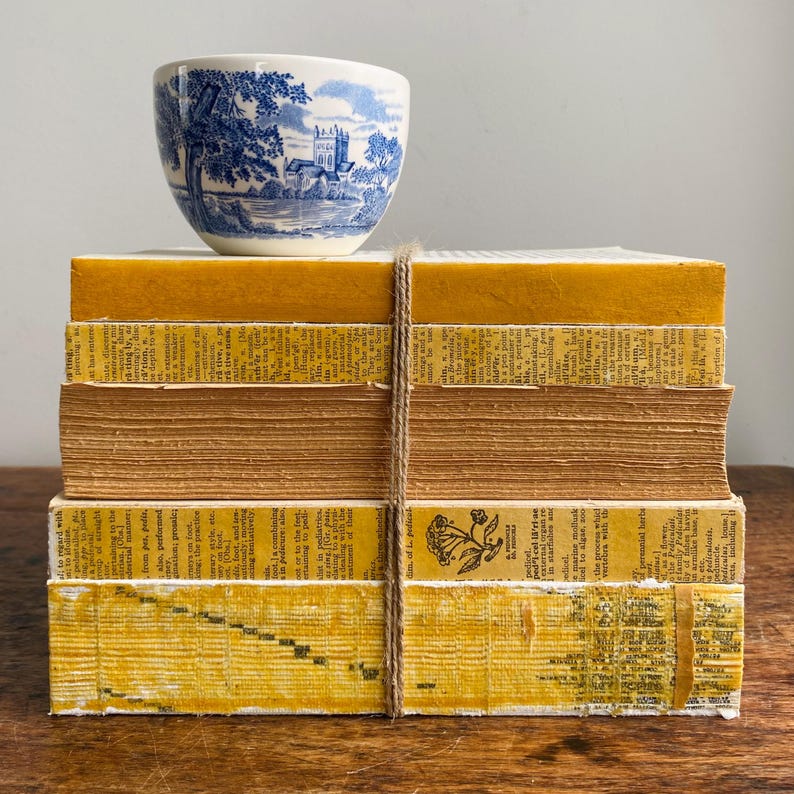 May include: A stack of vintage books with yellowed pages, tied together with twine. The books are stacked on a wooden surface. A blue and white ceramic bowl with a floral design sits on top of the books.