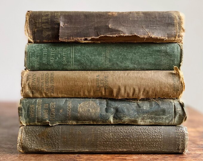 Rustic Old Book Stack, Shabby Faded and Tattered Book Bundle - Etsy