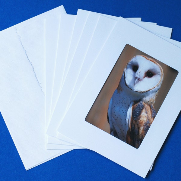 Art Photo Greeting Cards: Rehabilitated North American Owls to support the Vermont Institute of Natural Science, Set of 6, Handmade