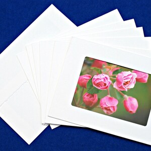 Cartes de voeux de Photo d’Art de la nature : Beauté de printemps de la Nature dans l’ensemble de la Collection nord-est de 6 blanc, fait à la main