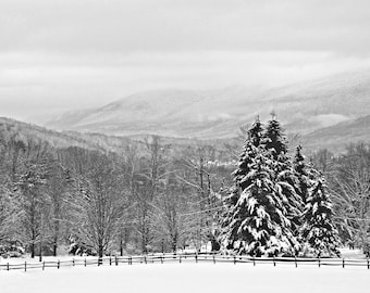 Snow on Firs, Fence, and Mountains, Nature Art Photo Print, Black and White, Winter Landscape, Manchester, Vermont