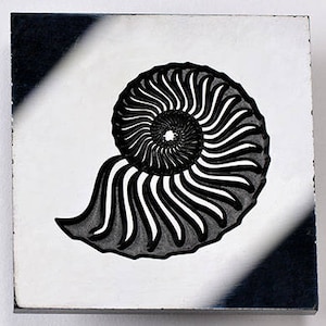 KP5-003 Pendant Texture Pane / Texture Stamp  - Nautilus