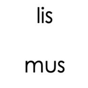 Puede incluir: Sobre un fondo blanco, se muestran diez palabras en minúsculas en una fuente sans-serif: en, caj, lis, mon, rin, fus, han, mus, quiv y reg. Las palabras están espaciadas uniformemente y dispuestas en dos filas.