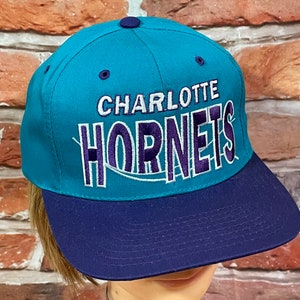 Mitchell and Ness Adult Charlotte Hornets Script 2Tone Adjustable Snapback  Hat