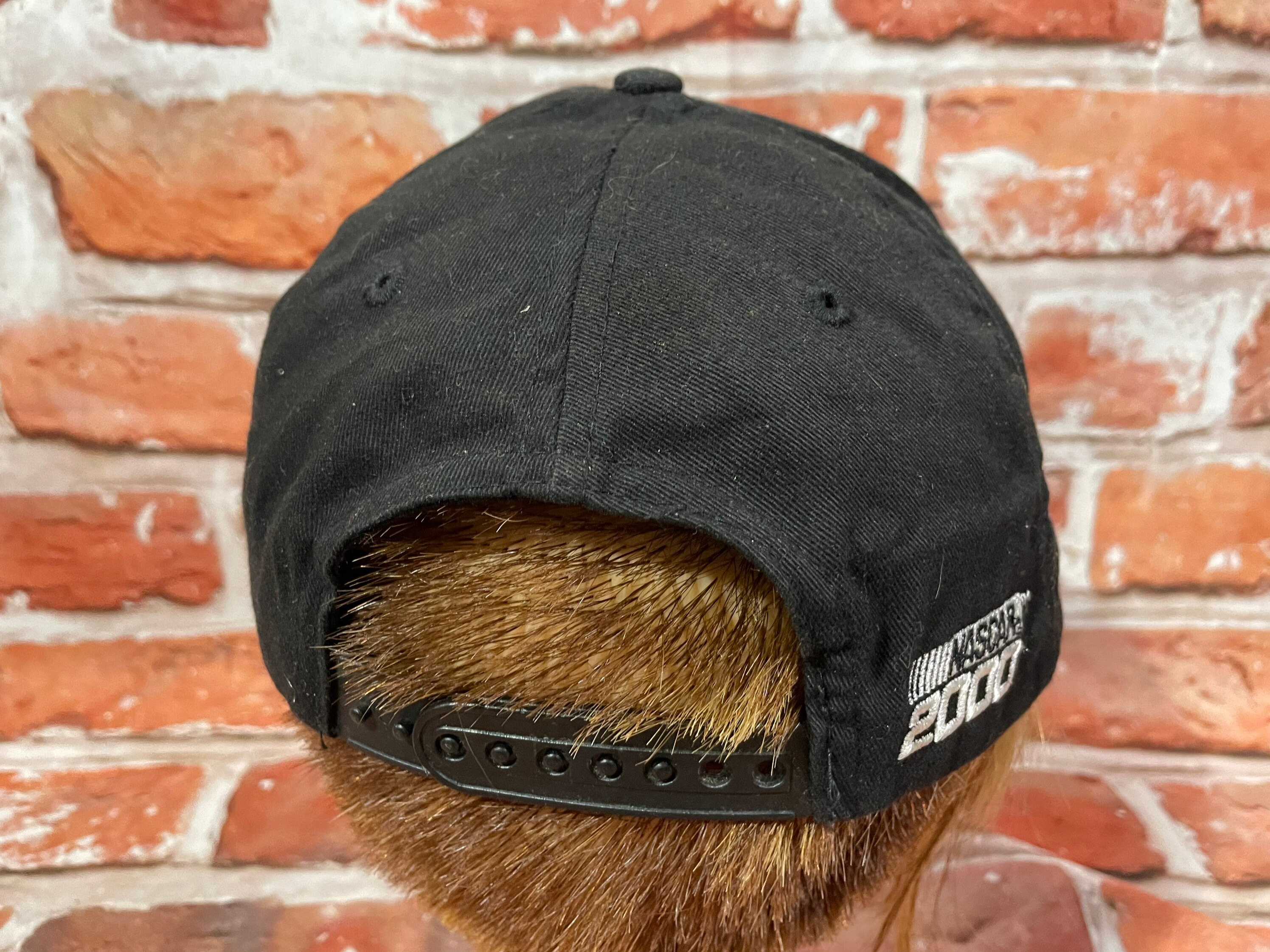 Vintage 2000 Dale Earnhardt Nascar Chase Flame Sharktooth Snapback