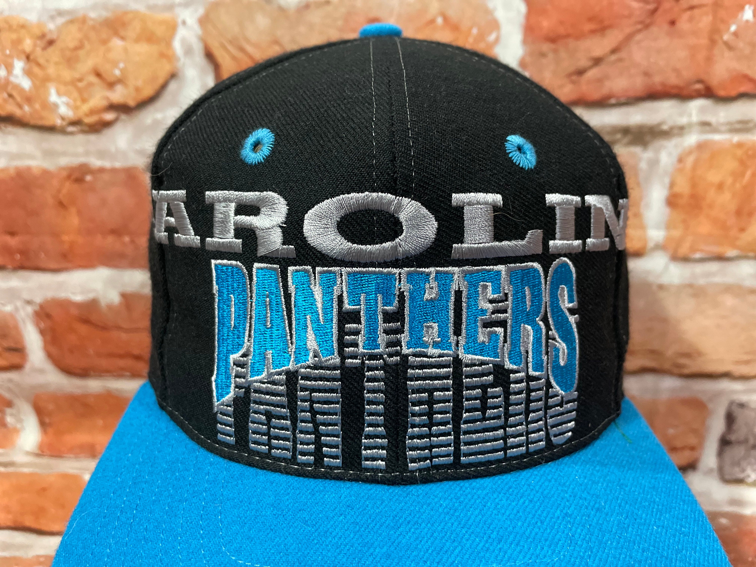 Carolina Panthers the Game 90s Big Spellout Shadow Snapback