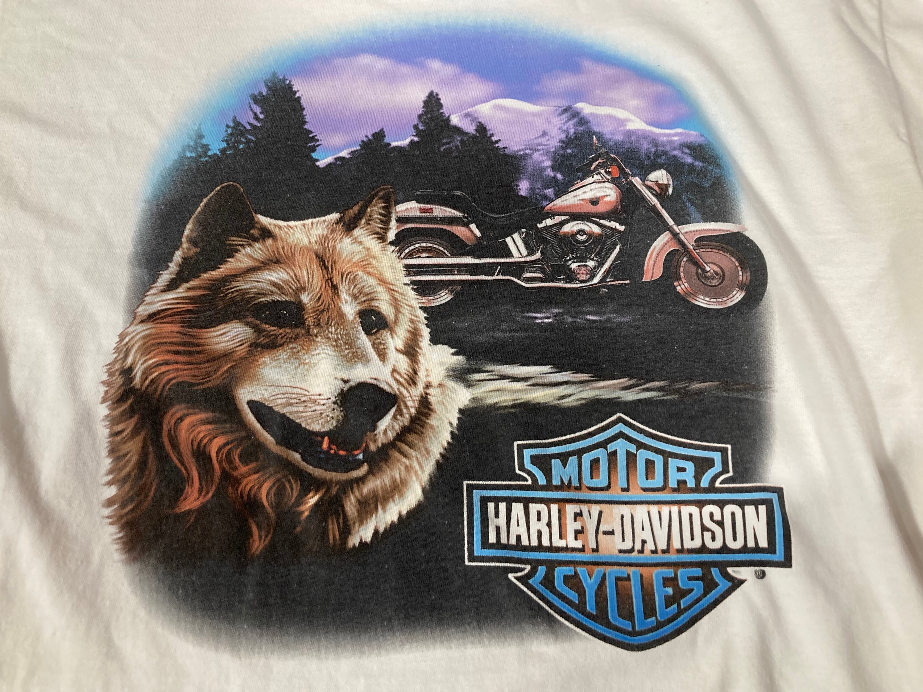 Vintage 90s Harley Davidson Wolf 