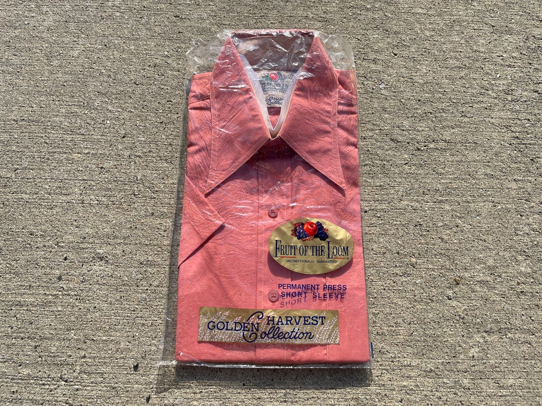 トップス 60s FruitoftheLoom CottonShirt TabCollar il_1080xN.5218822259_gaz3.jpg