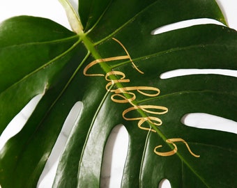 Monstera Leaf Table Numbers, Monstera Leaves, Tropical Leaf Table Numbers, Calligraphy Fresh Leaves, Monstera Leaf Wedding, Tropical Wedding