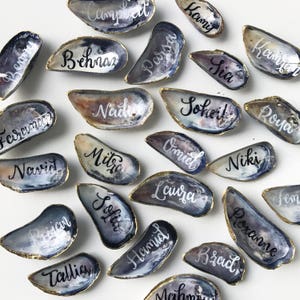 Mussel Shell Escort Cards, Mussel Place Cards, Mussel Wedding Favor, Calligraphy Mussel Favor image 1