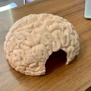 May include: A 3D printed brain-shaped object with a hollow interior, resembling a small cave. The object is made of a light pink plastic and has a textured surface.