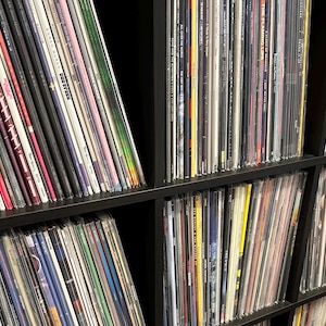May include: A collection of vinyl records stored in a black shelving unit. The records are in various colors and designs, with visible album covers and spines. The image showcases a diverse music collection.