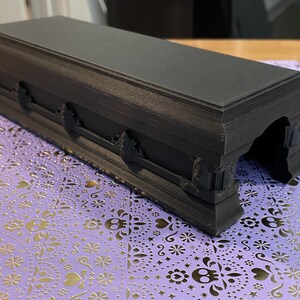 Large Coffin - Reptile - Arachnid Hide