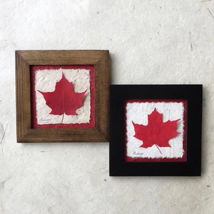 Echtes gepresstes rotes Ahornblatt Bild - signiertes ORIGINAL Kunstwerk | Handgefertigt in Kanada. Perfekt für deutsche Expat | Geschenk zum Vatertag