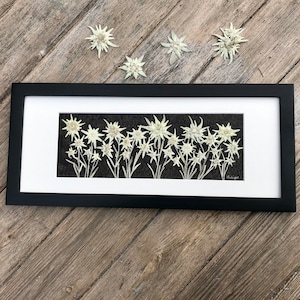 Genuine Pressed Edelweiss Flower Framed Picture, Edelweiss Panoramic Artwork, Large Wall Art Home Decor, Pressed Flower Home Decor