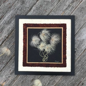 Alpine Flower Picture, Framed Old Mans Whiskers Wall Art Home Decor by Pressed Wishes Brown, Warm, Neutral Botanical Herbarium Artwork