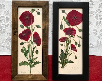 Red Poppies Pressed Flower Art | Signed ORIGINAL Home Decor | Poppy Home Decor | Gift for Veteran or Armed Forces | Real Floral Home Decor