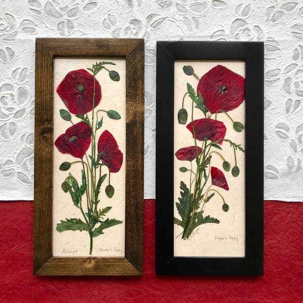 Red Poppies Pressed Flower Art | Signed ORIGINAL Home Decor | Poppy Home Decor | Gift for Veteran or Armed Forces | Real Floral Home Decor