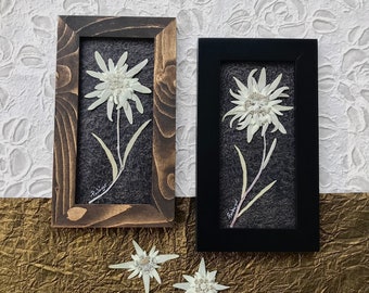5つの花が咲いたエーデルワイスの茎 - Etsy 日本