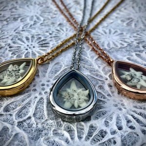 edelweiss locket