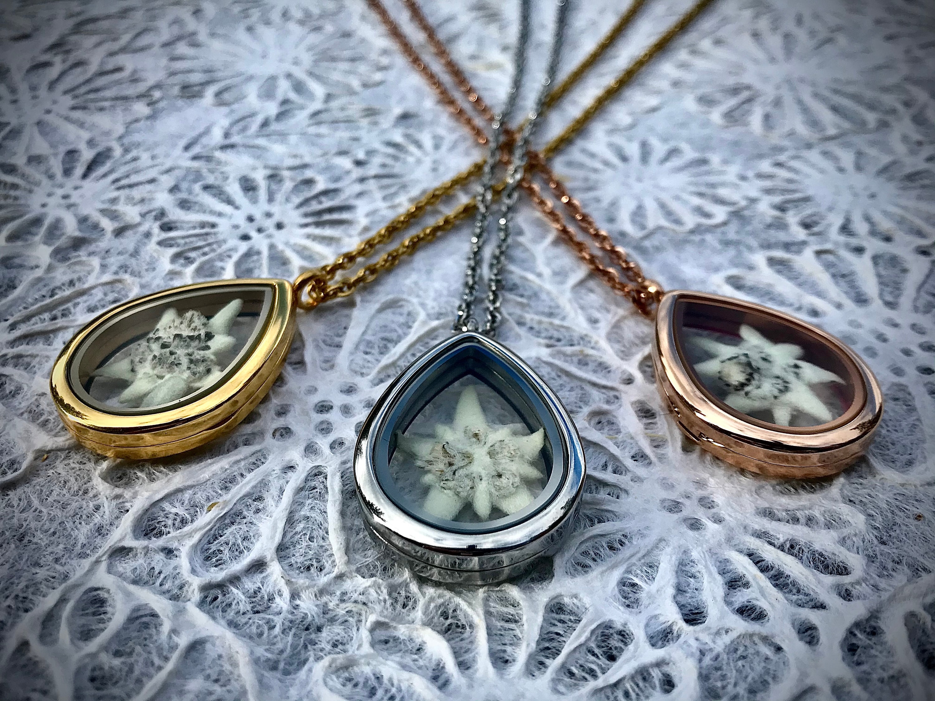 Dried Edelweiss Flower Locket Necklace German Bavarian Swiss Austrian Alpine Flower Real Pressed Flower Necklace Anniversary Wedding Gift Etsy