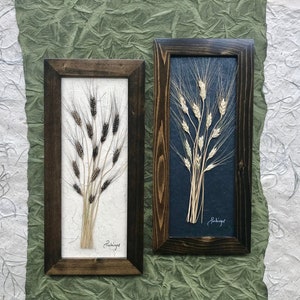 Real Pressed Ancient Einkorn Wheat SIGNED ORIGINAL Framed Picture 12,000 BCE | Artwork Home Decor | Black or Walnut frame handmade frame