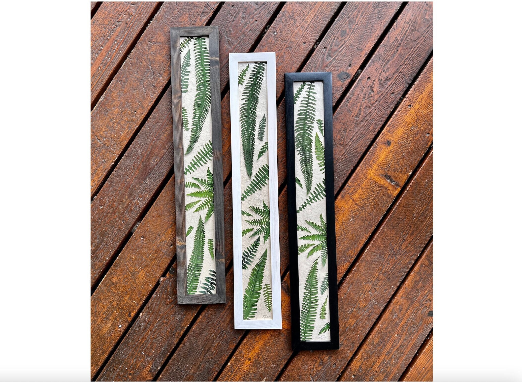 Pressed Fern Artwork, Real Preserved Green Fern Framed Vertical Artwork by Pressed Wishes, Fern Garden Wall Decor Herbarium Picture PNW