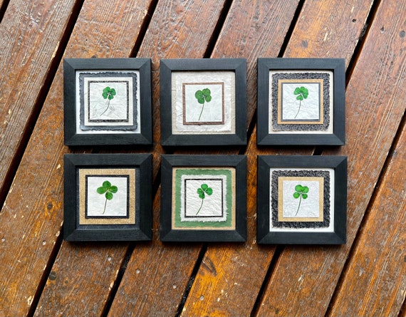 Real Pressed Maple Leaf and Shamrock Framed Picture Wall Art