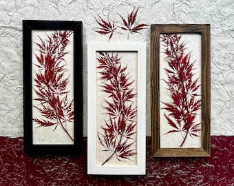 May include: Three framed pressed red maple leaves, each with a different colored frame: black, white, and brown wood. The leaves are arranged vertically in the frames, with the stems at the bottom. The frames are all the same size and shape.