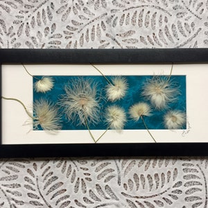 REAL Old Man's Whiskers Dried Flower Picture Signed ORIGINAL Floral Art | Teal Home Decor |  Eco friendly gift | Canadian Botanical Artwork