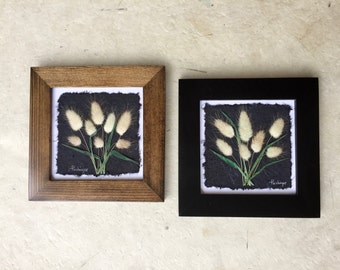 Pressed Bunny Tail Plant Picture. Available in Black and Walnut Frame. 8x8.