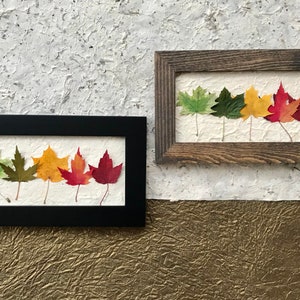 Mini Regenbogen Ahornblatt Bild, echtes gepresstes Ahornblatt Wand Kunst Wohnkultur Konserven Blatt Kunst von Pressed Wishes. Kleine Wandkunst ORIGINAL