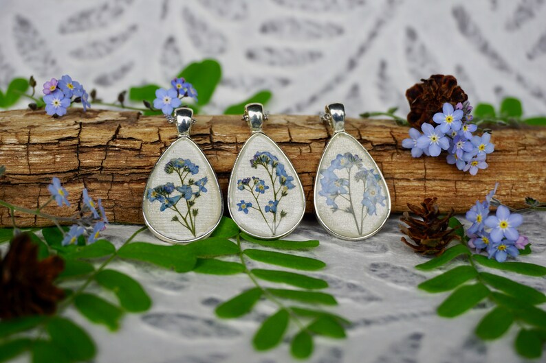 REAL Pressed Forget-me-not flower Pendant Dried Botanical ...