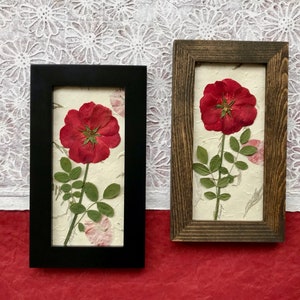 Real Pressed Red Rose Framed Picture SIGNED ORIGINAL Pressed - Etsy