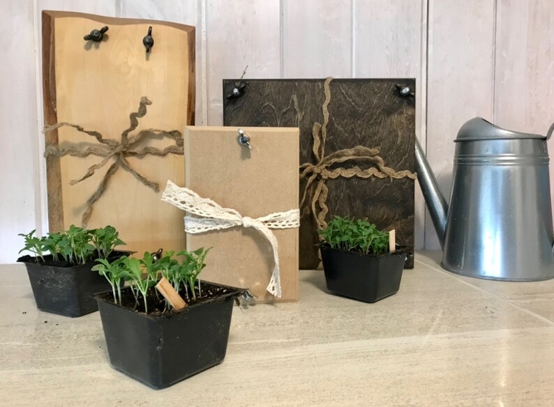May include: Three wooden signs with twine and lace accents, two small black pots with green seedlings, and a silver watering can on a light brown tiled surface.