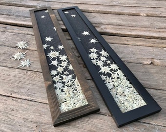 Herbarium Artwork - White Edelweiss Flower Framed Artwork Vertical Wall Art, Pressed Edelweiss Picture Framed European Alpine Flower