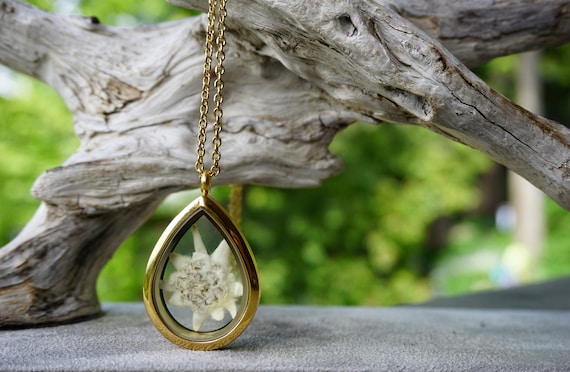 Preserved Dried Edelweiss Flower Locket Pendant Necklace Gold