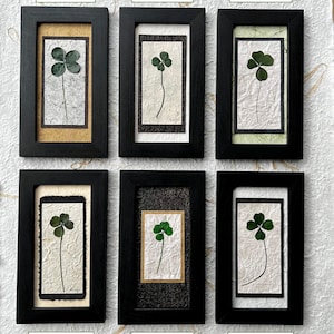 Dried Shamrock Picture, Real Pressed 4 Leaf Clover Vertical Wall Art, Genuine Green Shamrock Framed Picture, Pressed Leaf Artwork