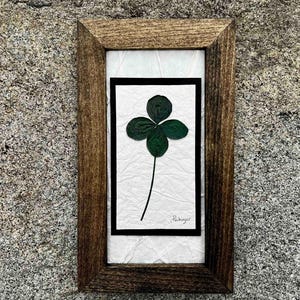 Dried Shamrock Picture, Real Pressed 4 Leaf Clover Vertical Wall Art, Genuine Green Shamrock Framed Picture, Pressed Leaf Artwork