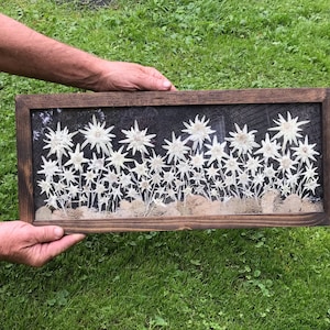 Edelweiss Garden Picture, Real Pressed Flower Framed Artwork Preserved Edelweiss Flower of the Alps, Dried White Botanical Framed Artwork