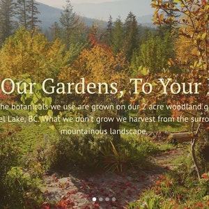 May include: A scenic image of a woodland garden with fall foliage in shades of red, orange, and yellow. The text "From Our Gardens, To Your Home" is displayed in the center of the image. The text below reads "All of the botanicals we use are grown on our 2 acre woodland gardens at Mabel Lake, BC. What we don't grow we harvest from the surrounding mountainous landscape."