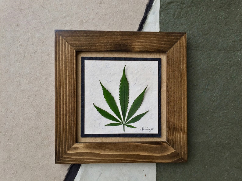 Real Pressed Cans Leaf Picture Behind Glass Available In Image 0
