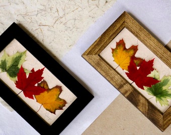 Pressed Maple Leaf Art: Original Botanical Artwork in Handcrafted Wood Frame